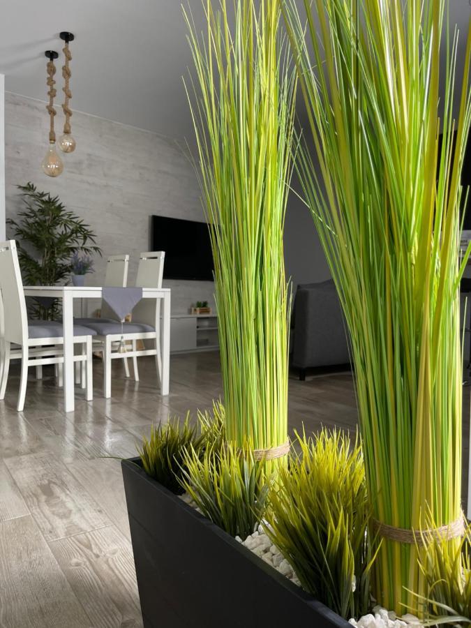 Apartamento Banferra Jerez de la Frontera Extérieur photo